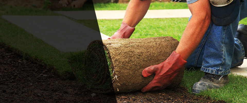 Melrose Park Landscapers